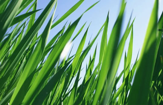Tale of 3 countries with high plastics packaging recycling rates