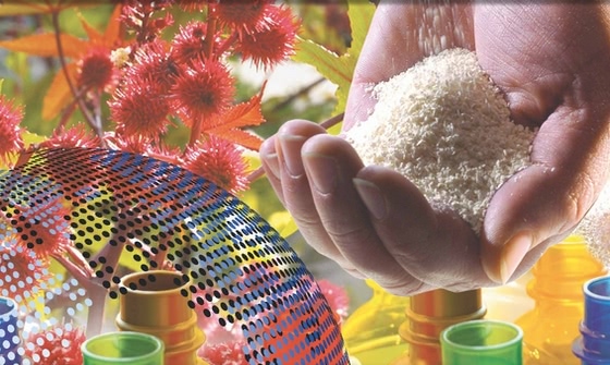 Diversity of the Bioeconomy: 11th Conference on Bio-based Materials