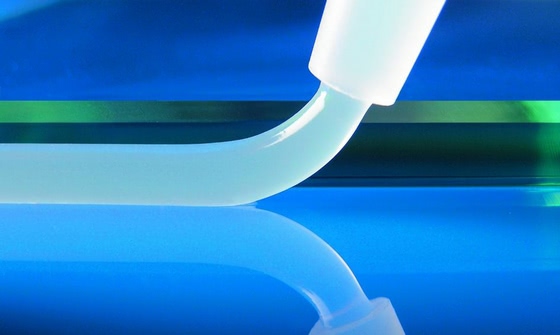 Evonik and Chinese company Wynca agree to form joint venture 