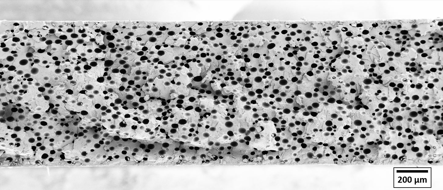 prmp-r004-pet-cell-structure