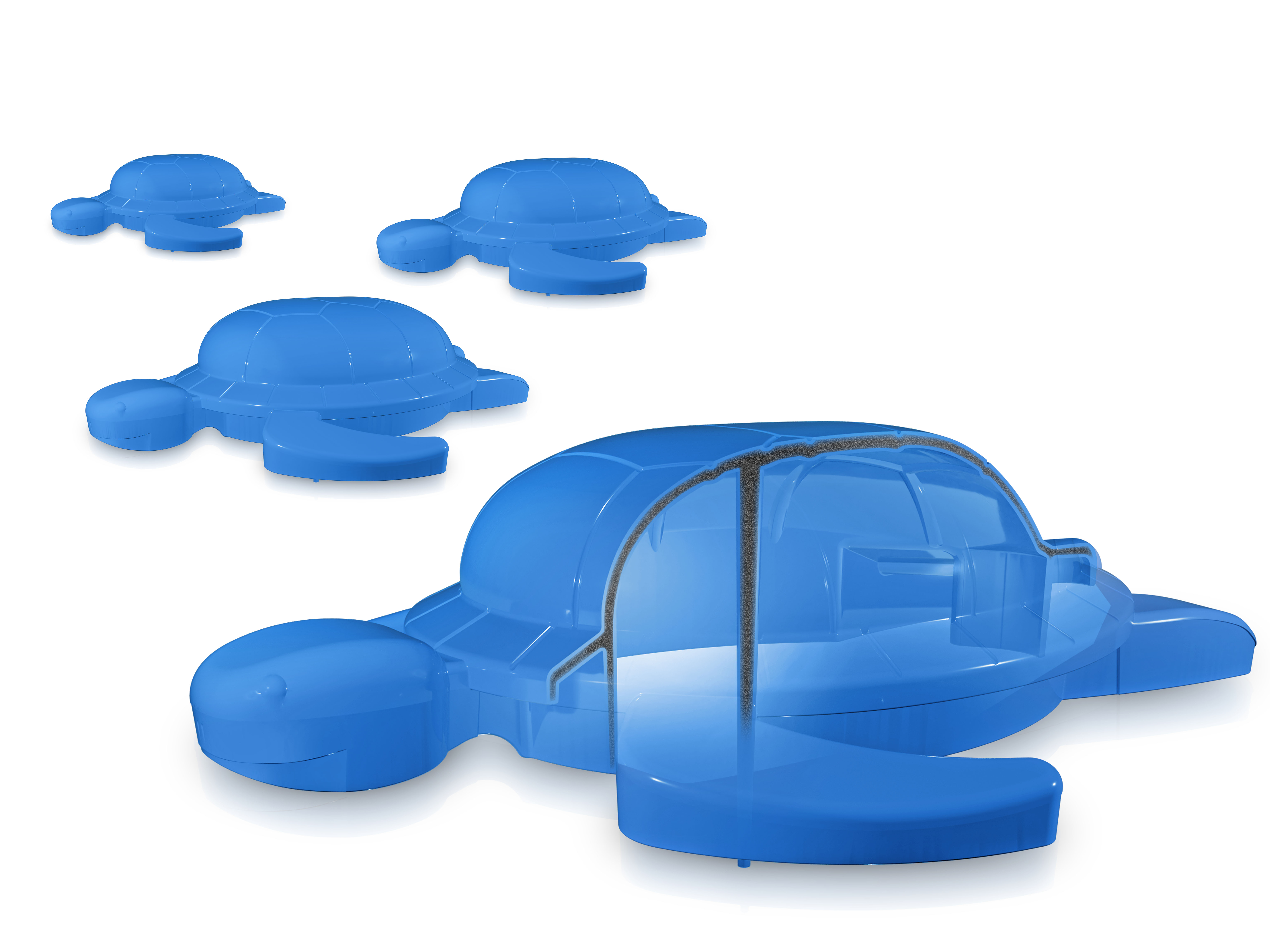 03-pm-2024-09-pxz-121-turtle