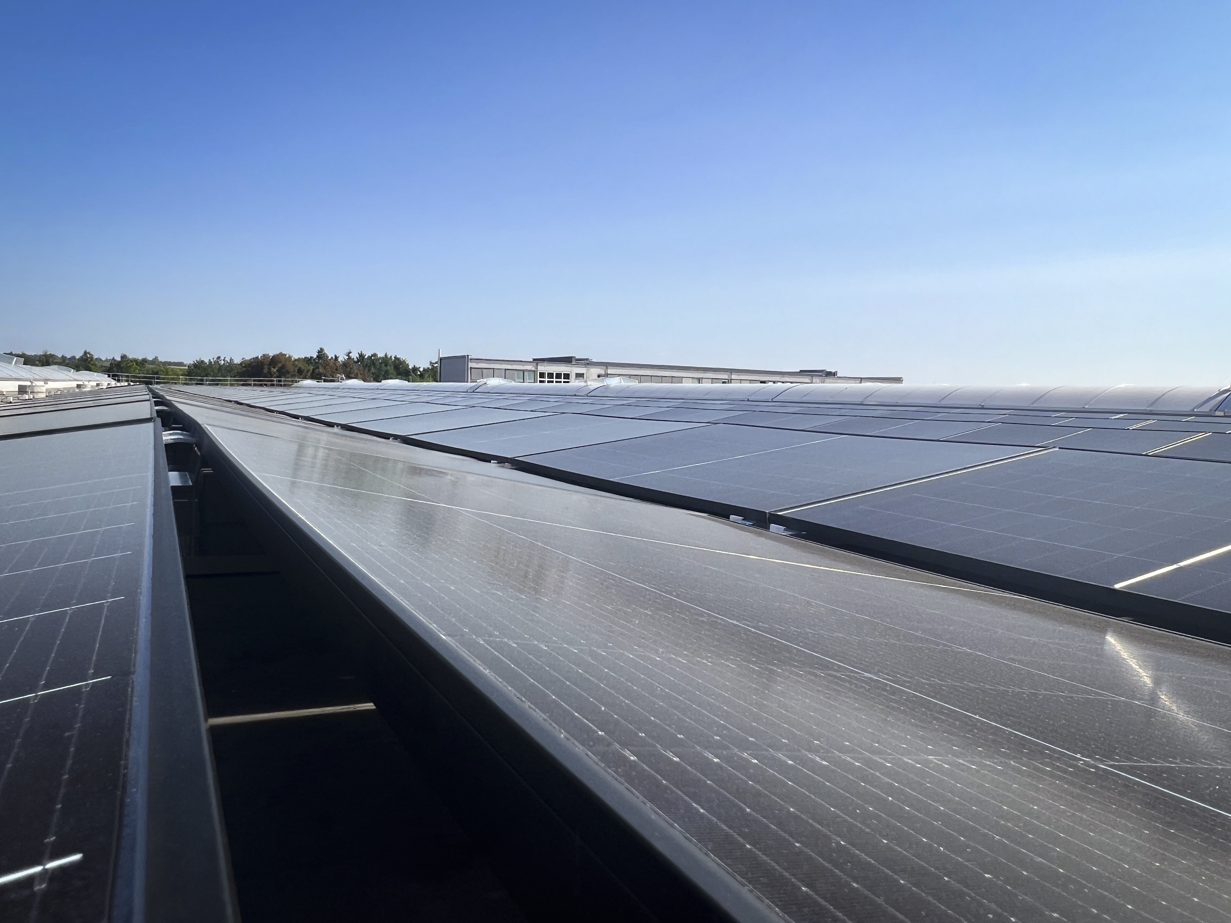 834 modules with a total capacity of 379.47 kWp generate around 342,000 kWh of electricity a year, making a major contribution to the sustainable supply of energy at the KHS plant in Worms, Germany.