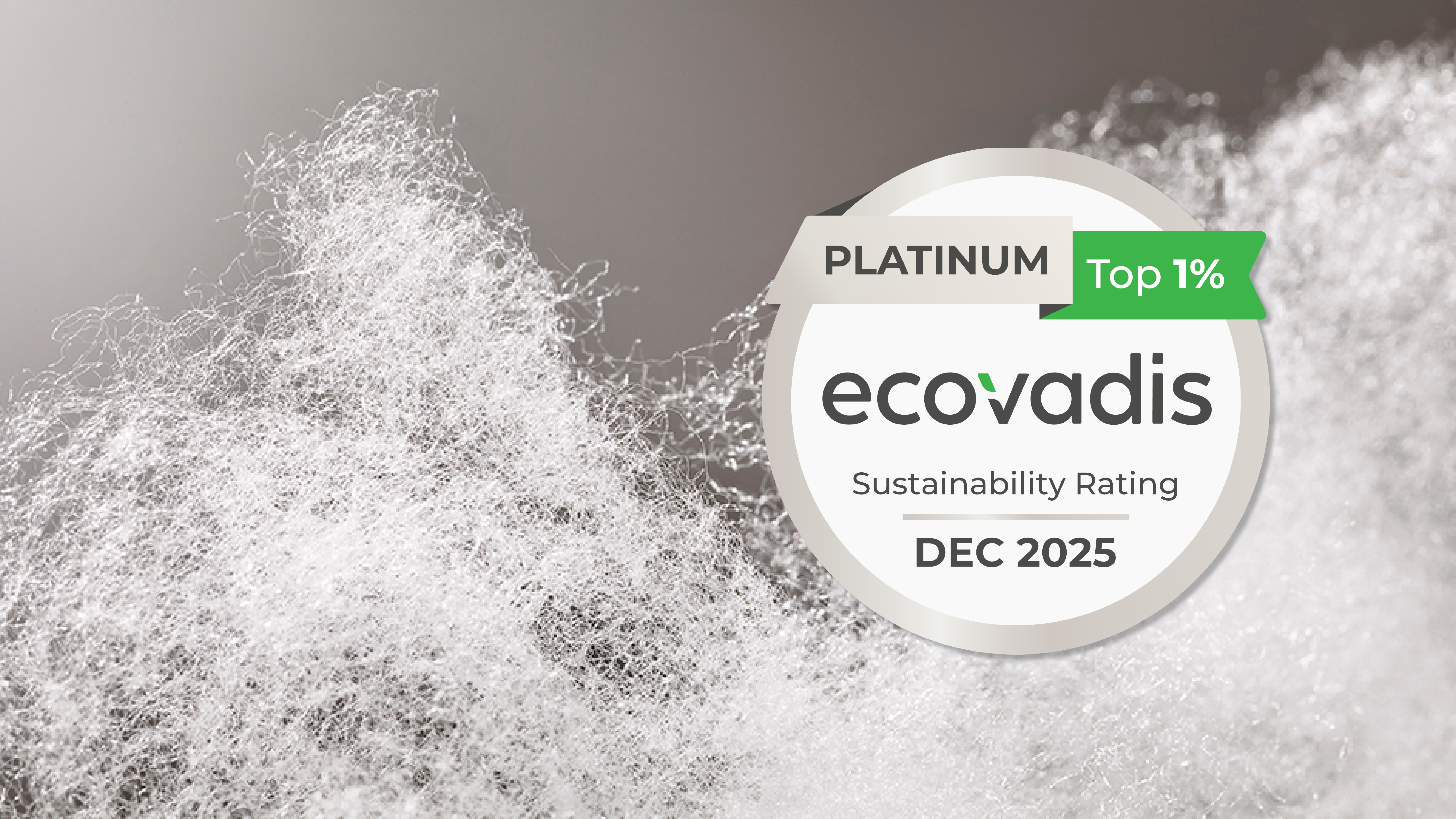 Beaulieu Fibres awarded EcoVadis Platinum, strengthening the company’s position as a trusted partner for sustainable fibre solutions.