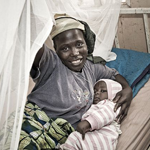 Biodegradable packaging for Interceptor mosquito nets