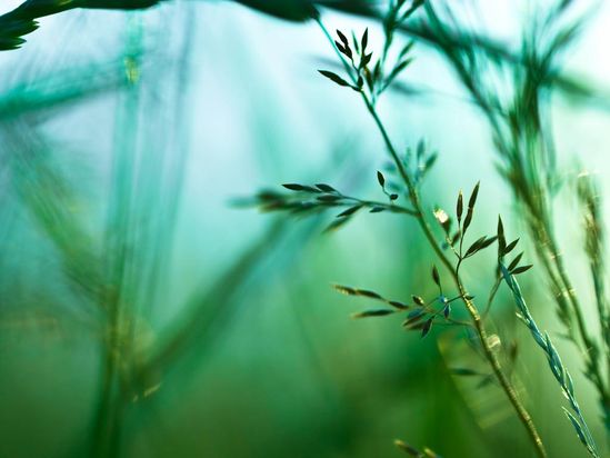 Briefing for Governments on Oxo-biodegradable Plastic
