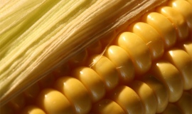 NatureWorks will offer new high performance Ingeo resins