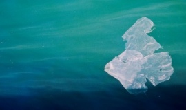 Governor of Illinois vetoes “plastic bag” bill