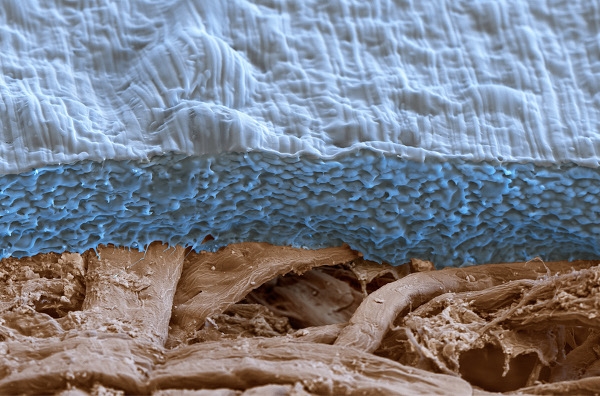 Protective layers made from BASF materials