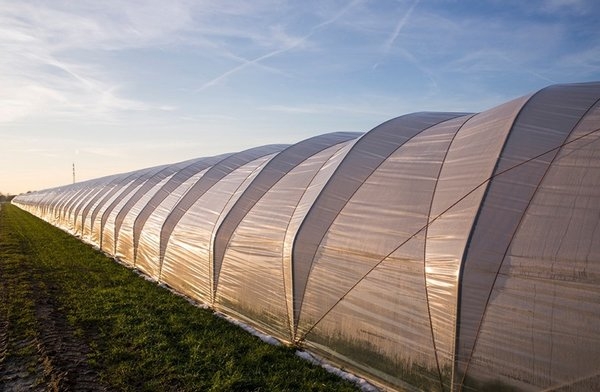 Clariant offers polymer additive solution for agriculture film producers