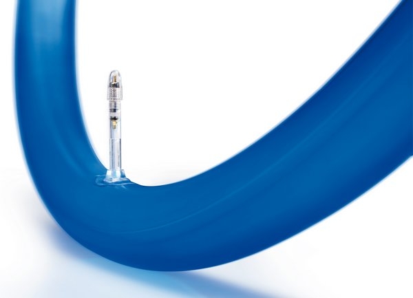 Schwalbe