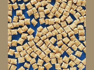 PP + wood fiber WPC 