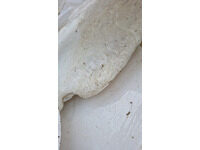 img-20241211-wa0001
