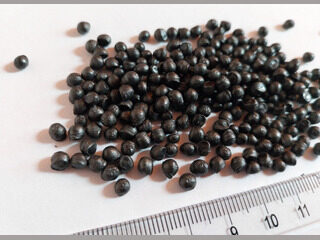 Black polystyrene re