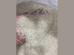 PP clear chips recyc