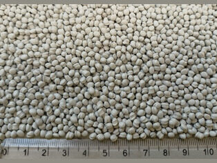 RAbs light gray