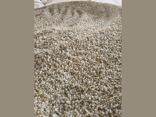 LDPE PCR Regranulate