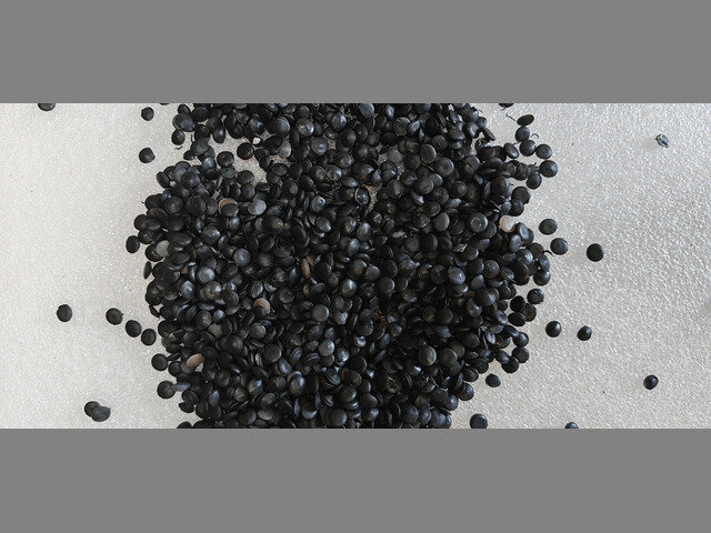 LDPE Regranulate