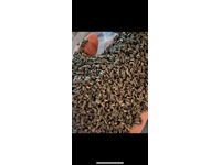 pet-pellets2