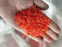 img-20260430-wa0003
