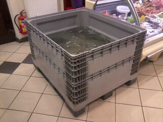 Fish tanks, pallet f