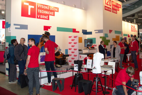 MSV 2019