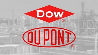DowDuPont Merger Successf