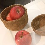 FachPack 2019: Focus on...