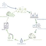 Polystyrene proven to be...
