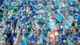 Plastics recyclers cease 