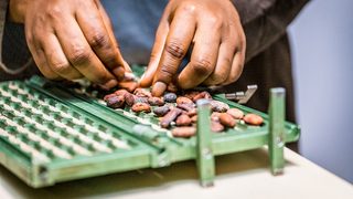 Sidel and Niche Cocoa tea
