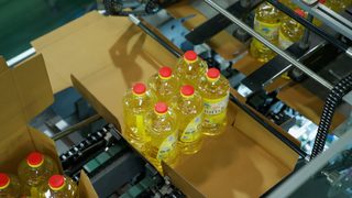 Evaluating Capex and Opex