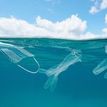 Plastics, pandemic and...