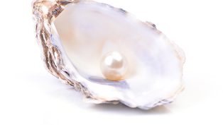 Ampacet introduces PEARL 