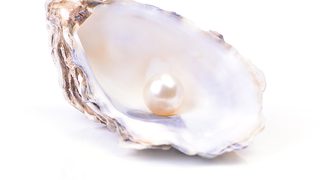 Ampacet introduces PEARL 