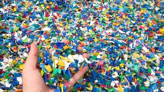 Processing plastic flakes