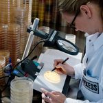 LANXESS expands capacity...