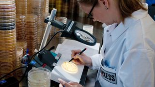 LANXESS expands capacity 