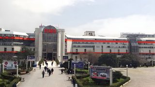 Moretto Turkey celebrates