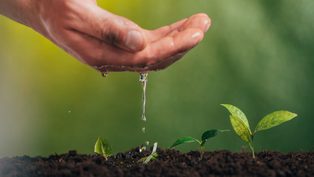 The European Biopolymer S