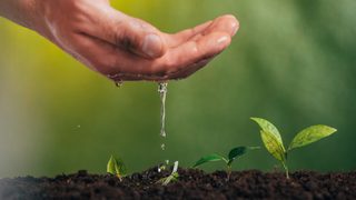The European Biopolymer S