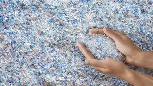Packaging specialist Alpl