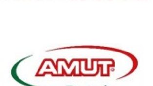 Amut and Luiso s.l. - new