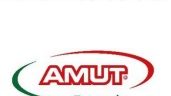 Amut and Luiso s.l. - new