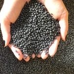 LDPE value lost 20 EUR/t