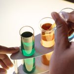 ECHA launches new...