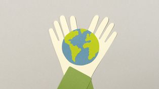 New Sustainability and Ci
