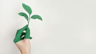 Sirmax Group Achieves Six
