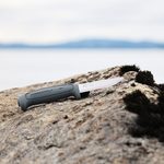 Sharp innovation for the...