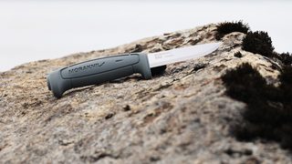 Sharp innovation for the 