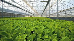 BASF launches game-changi